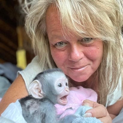 How to live with vervet monkeys – tips and insights at talk