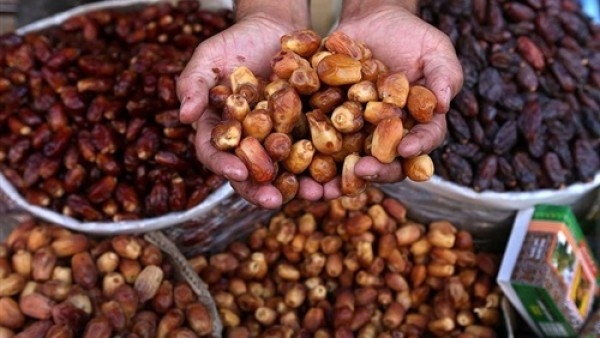 تسبب الموت فورا.. احذر حبة سامة موجودة في بلح رمضان