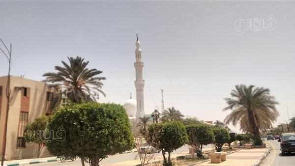 رياح ساخنة مثيرة للرمال والأتربة تضرب الوادي الجديد (صور)