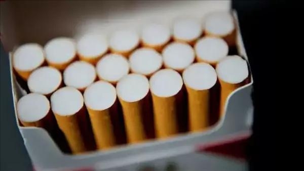 من 27 إلى 60 جنيهًا.. تعرف على أحدث أسعار السجائر في الأسواق