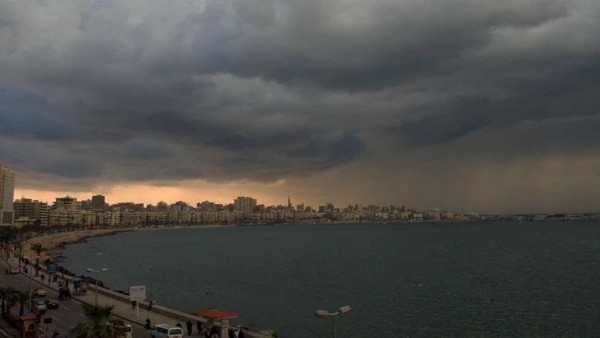 بعد إنقاذ التوك توك.. رجال الهلال الأحمر ينقذون طائرًا عالقًا تحت كوبري سيدي بشر (فيديو)