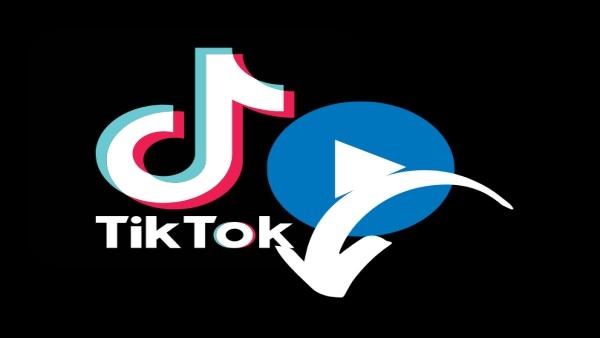 The Story of Success and Fame on TikTok