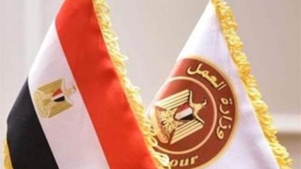 رواتب تصل لـ10 آلاف جنيه.. وزارة العمل تعلن عن وظائف جديدة