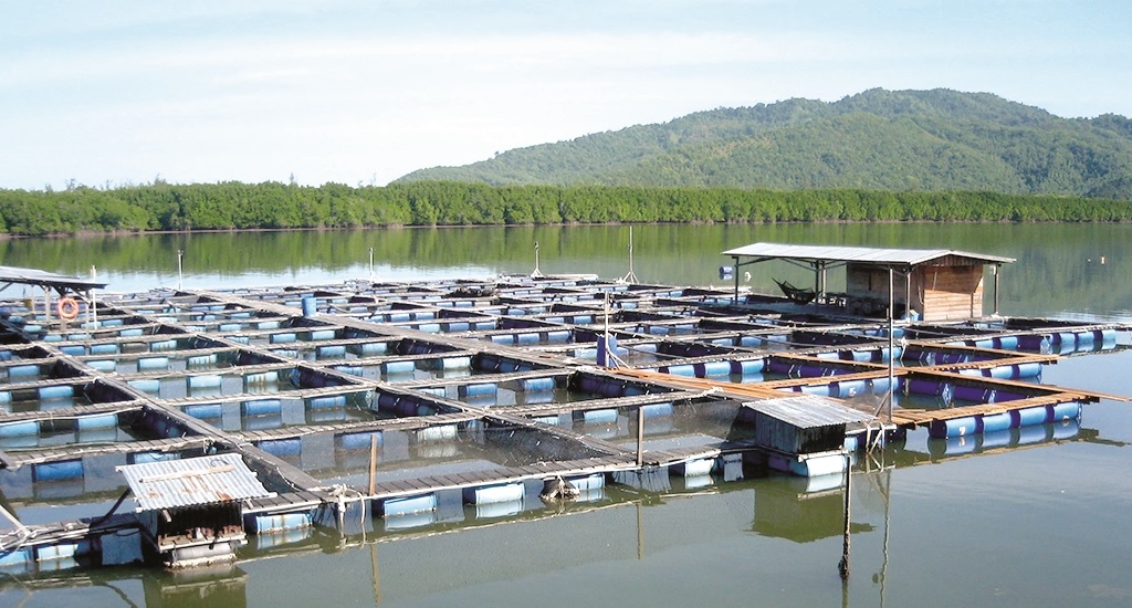 How thermal energy can unlock Sabah's economic potential