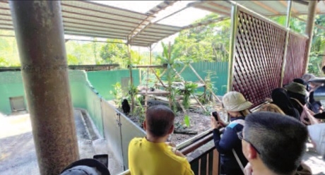 3,000 at Kudat job events
