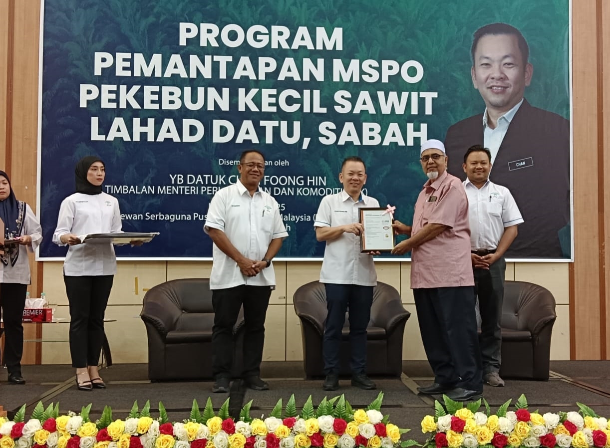Utilise government support to meet MSPO demands