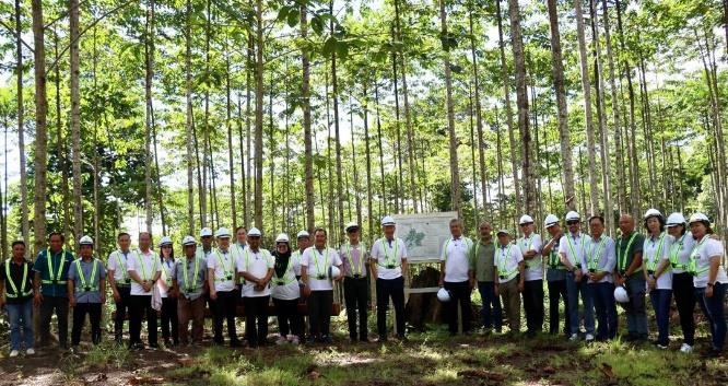Industrial Tree Plantations the solution