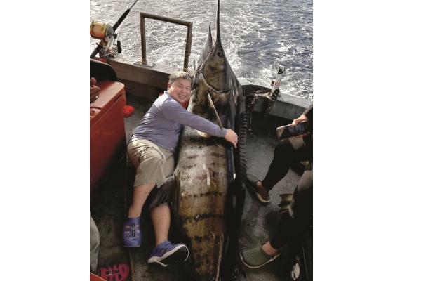 230kg rare black Marlin loses battle