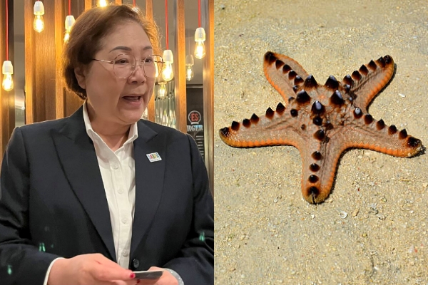 Minister reacts to tourist collecting starfish