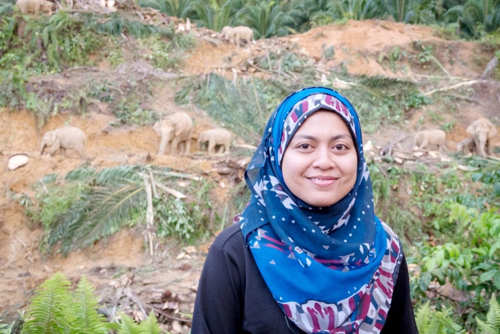 Sabah elephant expert wins UK award for conservation work