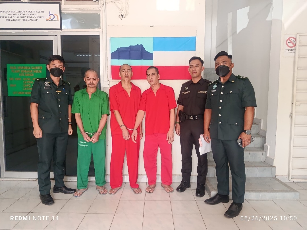 Green Turtle parts: Three Filipinos jailed and fined