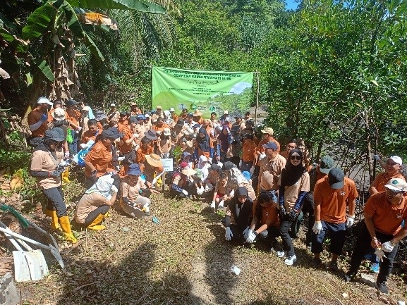 350 mangrove saplings planted