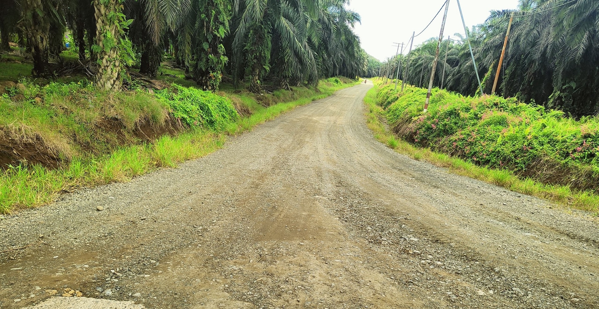 Plans to upgrade Kadazan Mostyn road in the works