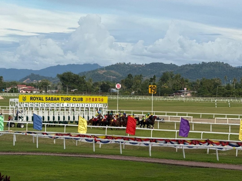 Harvest Festival Cup this Sunday