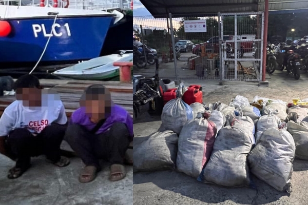 Smuggling Seraya timber from Timbun Mata Forest Reserve foiled: Cops