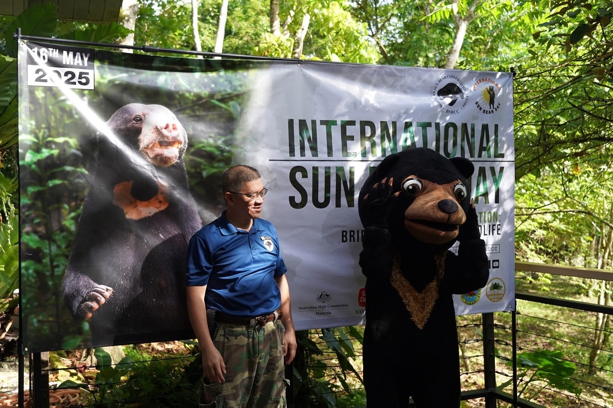Bornean Sun Bear Conservation Centre celebrates Sun Bear Day