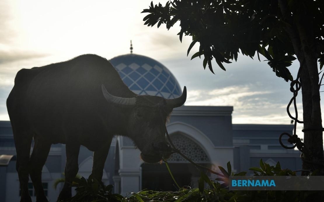 Hari Raya Aidiladha expected to fall on June 6