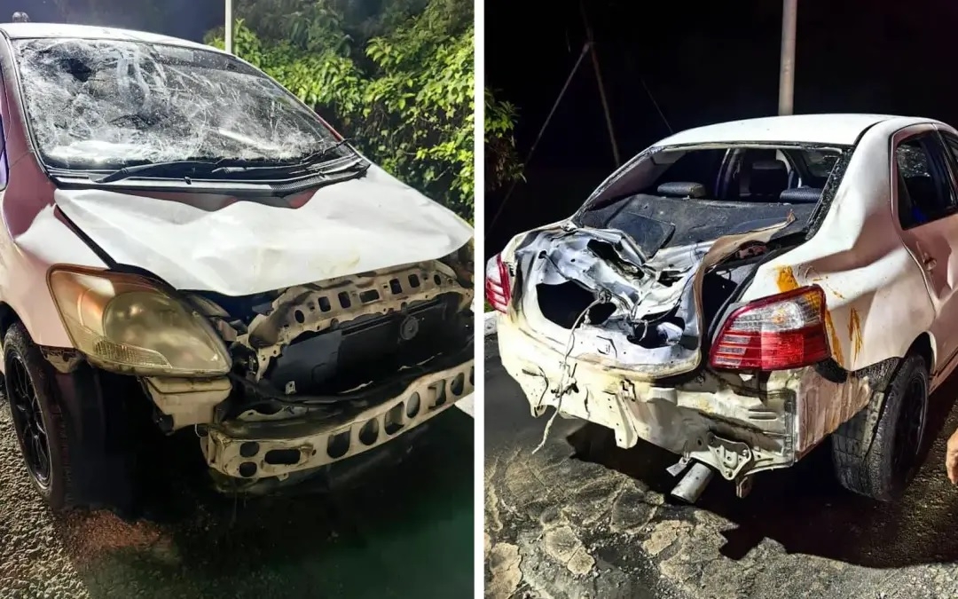 Car damaged in elephant attack after driver behind honks