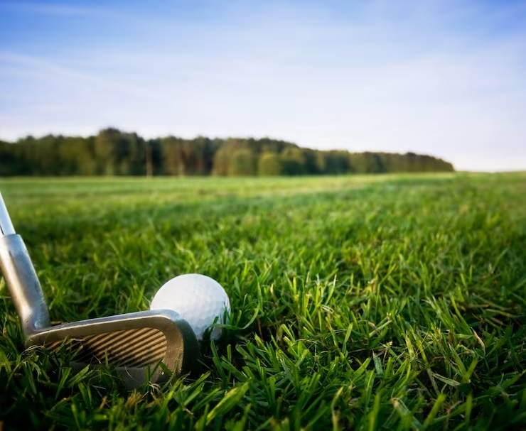 Wai Ching is elected new Sabah Golf and Country Club president