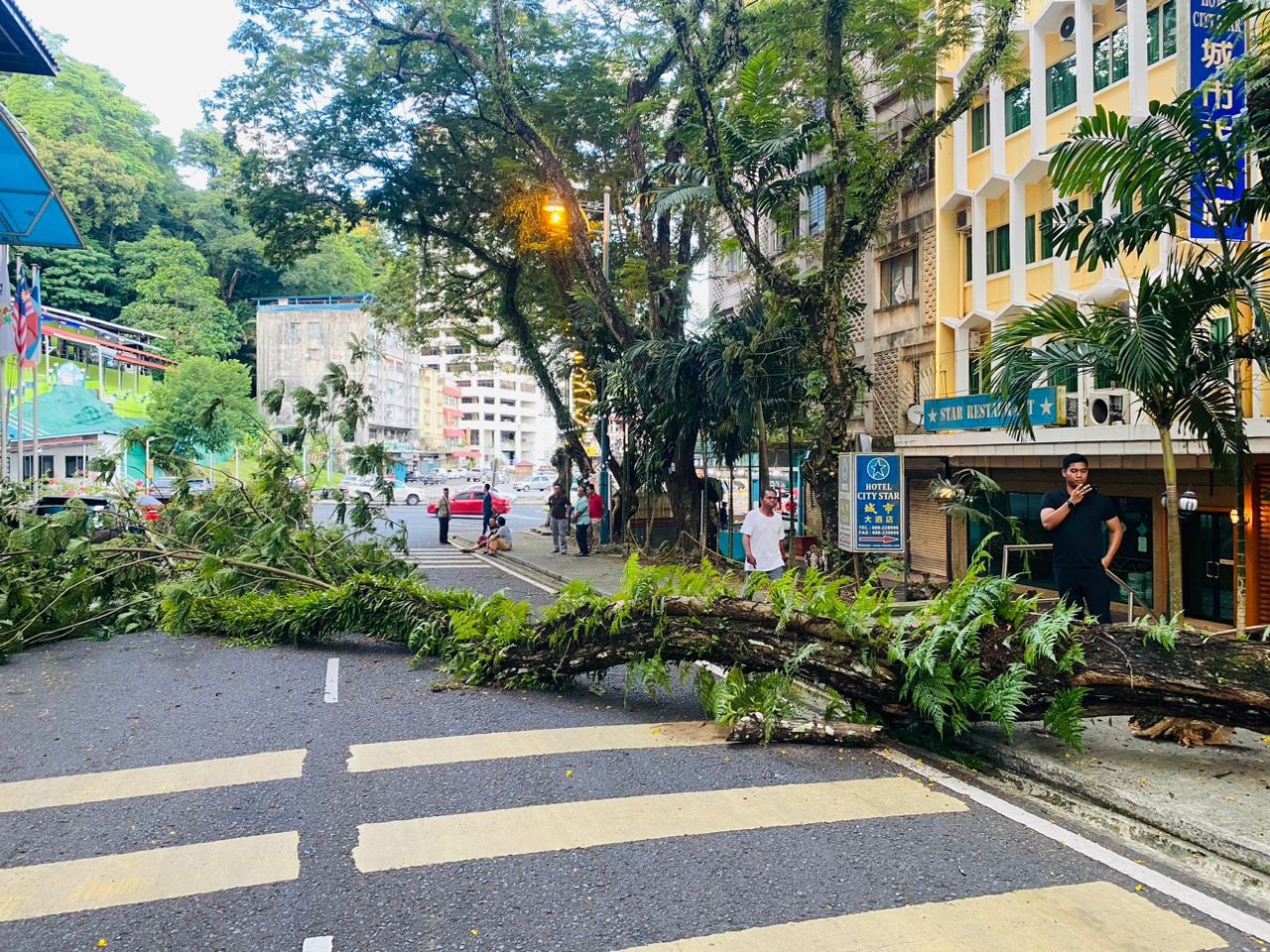 Fallen tree crushes car, blocks road outside Sandakan Hotel