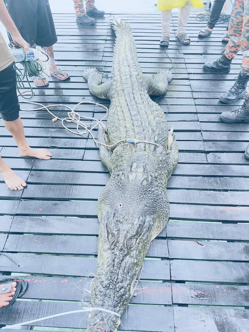 Bohey Dulang reopens after croc captured