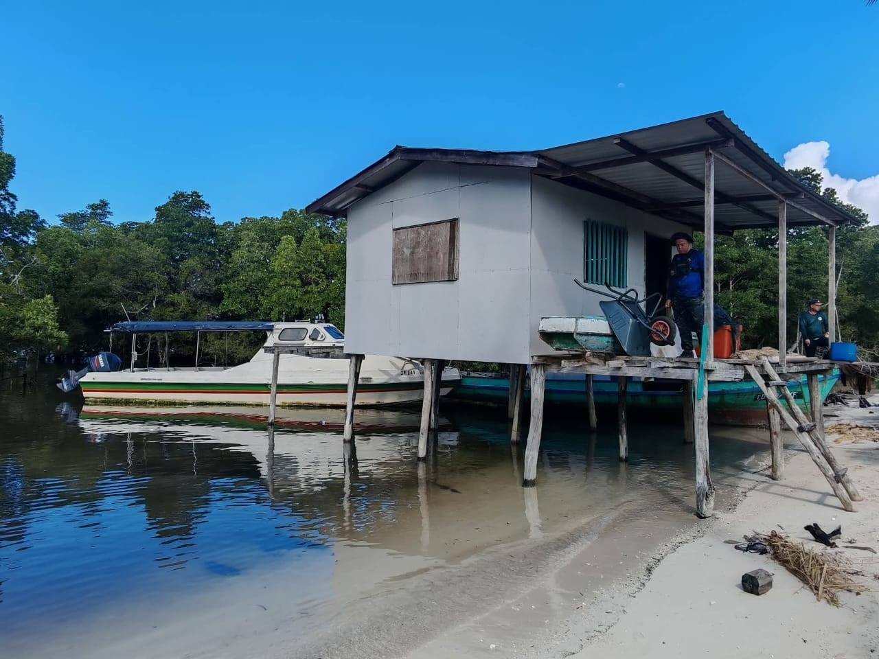 Encroaching mangrove in Lahad Datu: Man held
