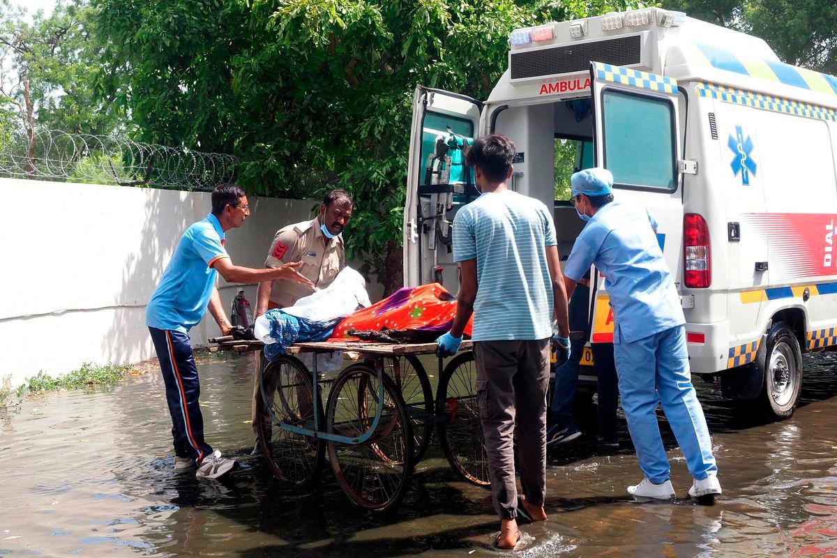 Death toll in Air India plane crash rises to 265; one survivor