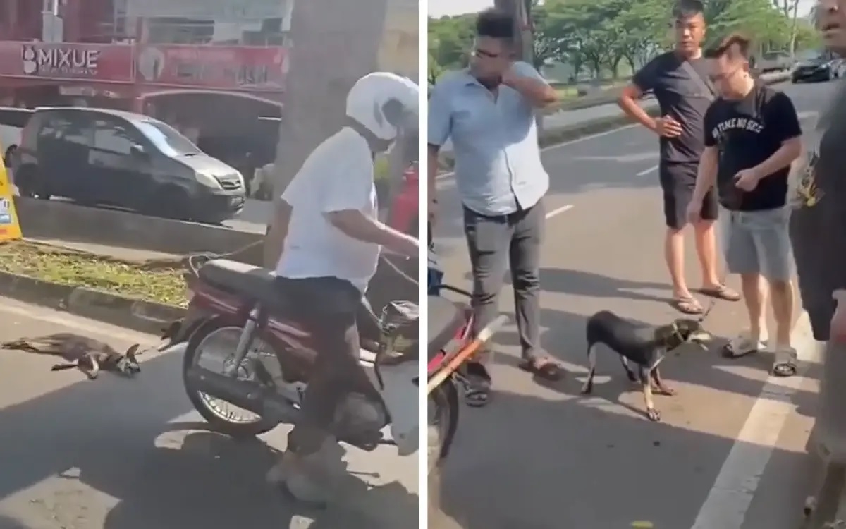 Senior citizen arrested over dog-dragging incident