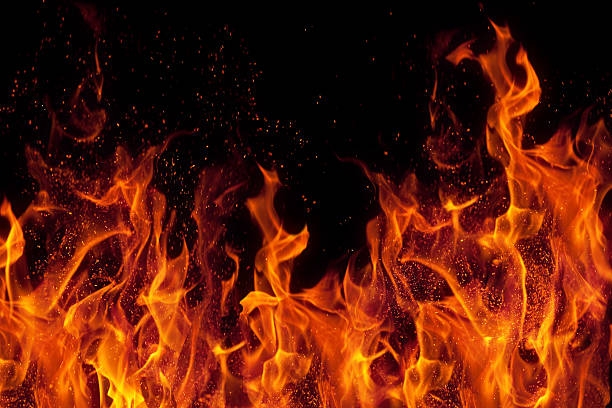 Police to investigate poster burning at student rally