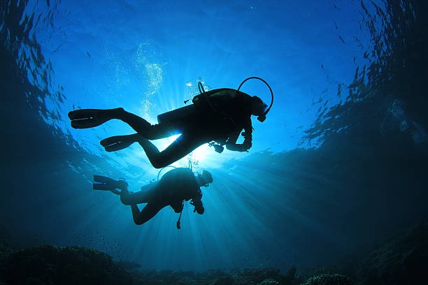 Sabah dive club to hold safety talk after recent fatalities