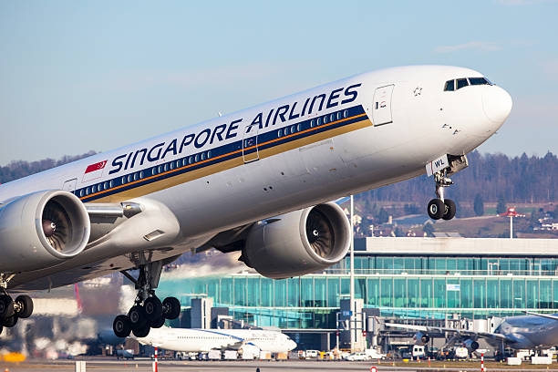 Paediatrician sues SIA over shrimp allergy incident mid-flight