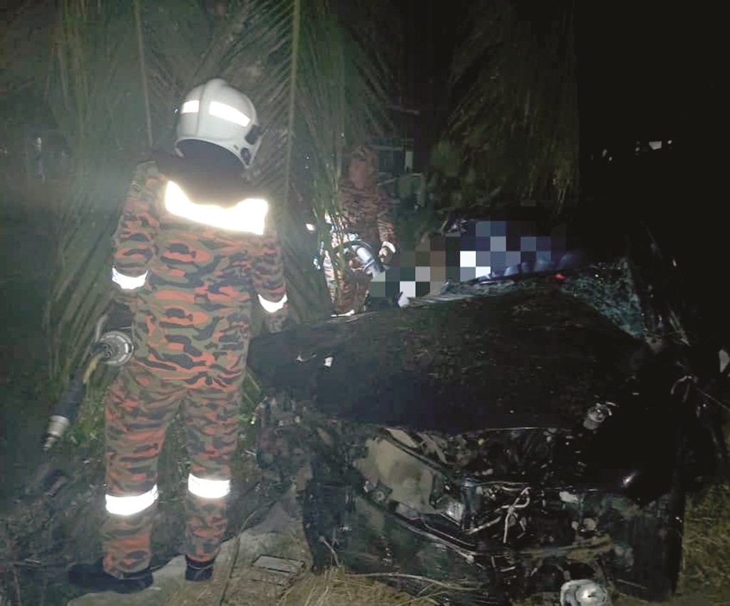 Driver hurt as car crashes into tree