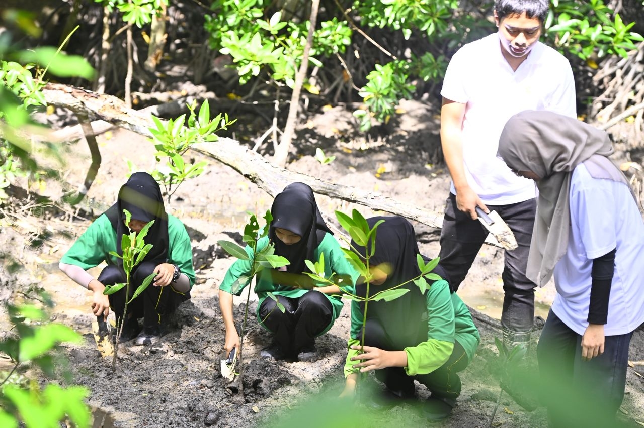 Fifty students join mangrove conservation drive in KK