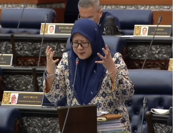 MP on battery energy storage system: Why Sabah's cost RM300 million more?