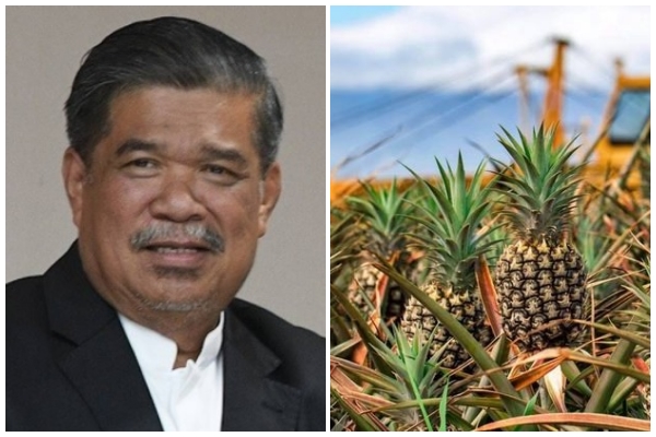 Big Sabah potential as pineapple hub