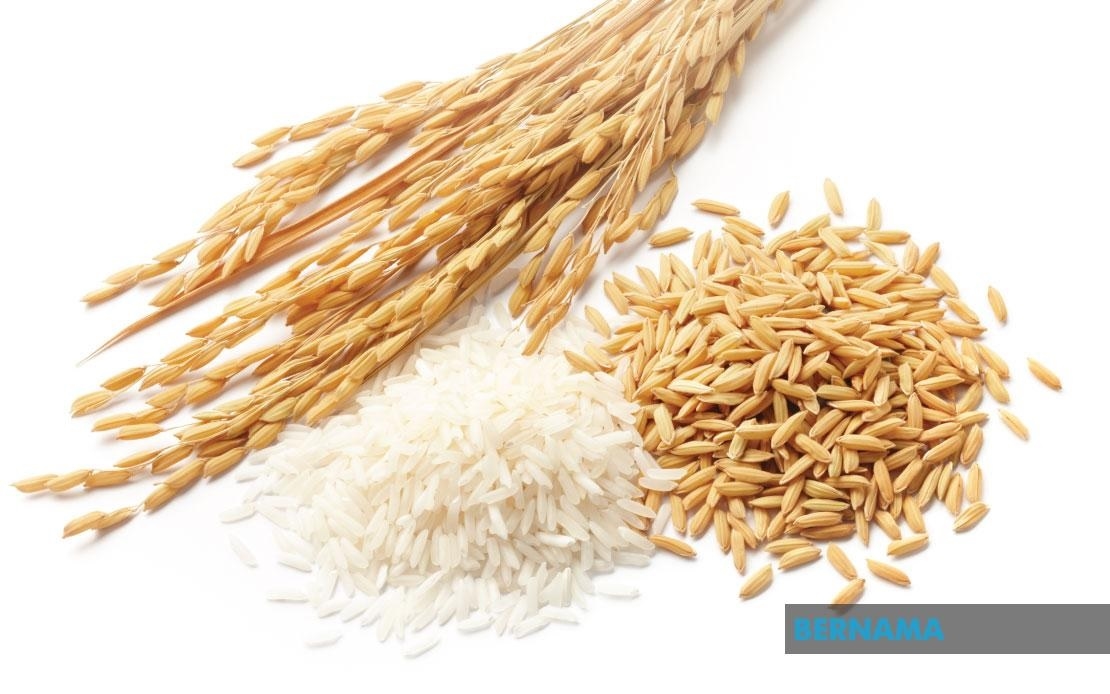 Philippines suspends rice imports for 60 days to protect farmers