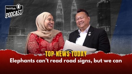 Elephants can't read road signs, but we can