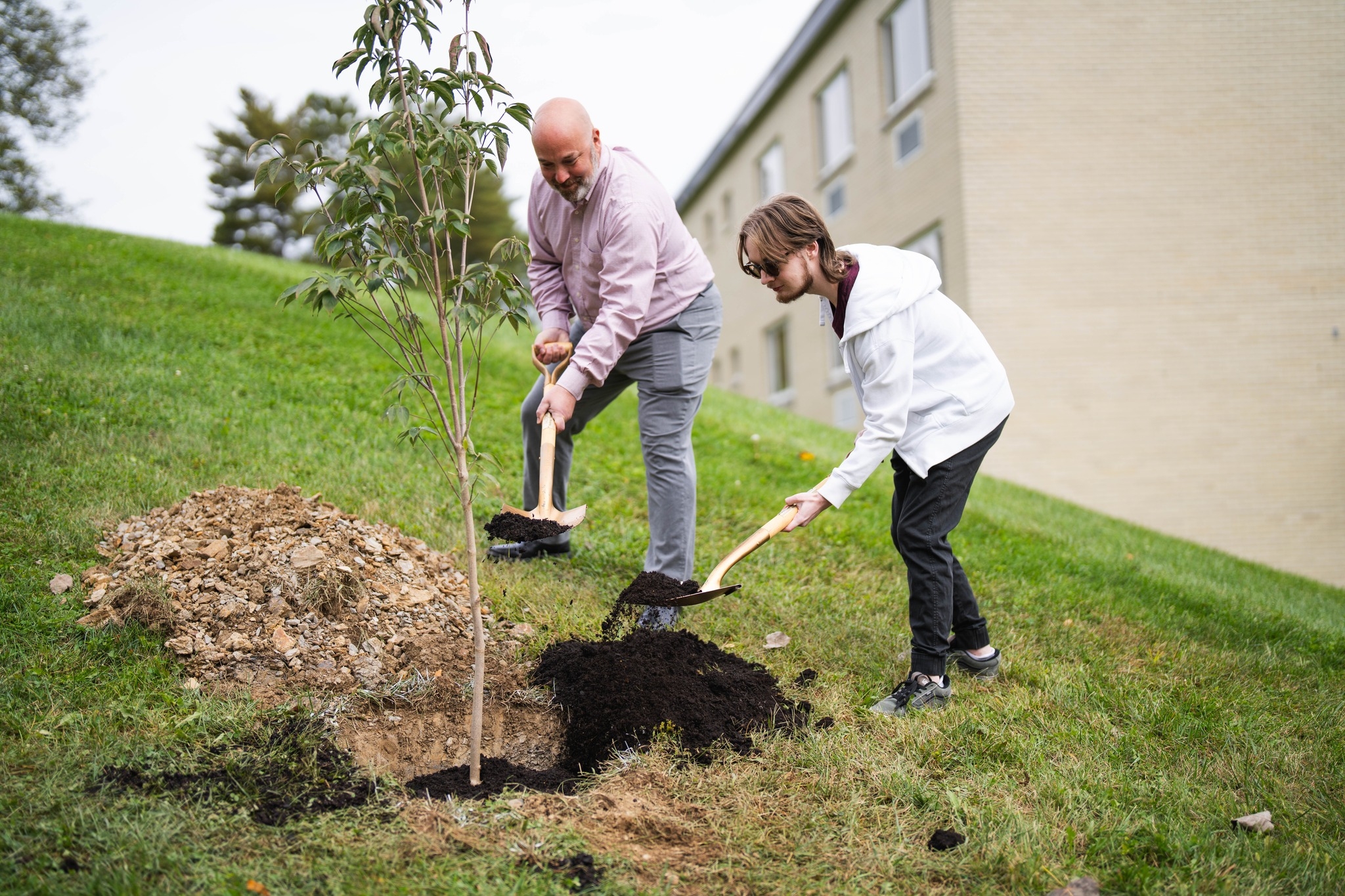 Tree of Knowledge: Fairmont State receives Division of Forestry grant for planting project