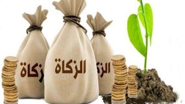 ما حكم استخدام أموال الزكاة لسداد الديون؟.. "الإفتاء" تجيب