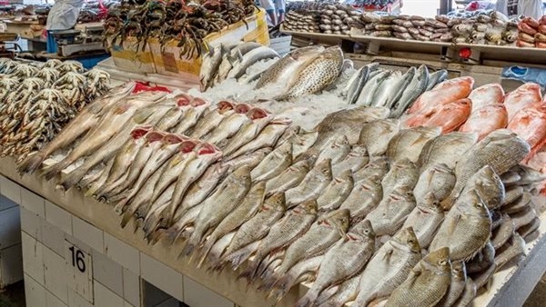 أسعار الأسماك والمأكولات البحرية بالغربية اليوم الأربعاء 14 مايو 2025