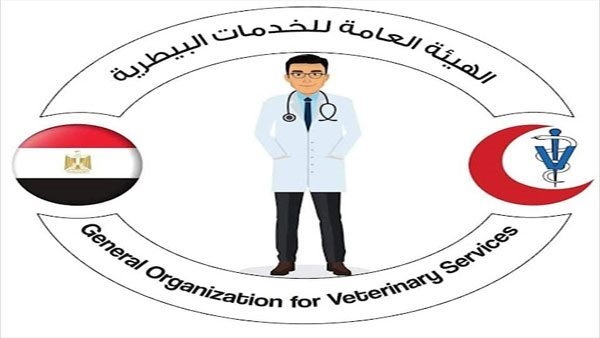 سحب عينات من أسواق السويس والفيوم للتأكد من خلو الطيور من إنفلونزا الطيور