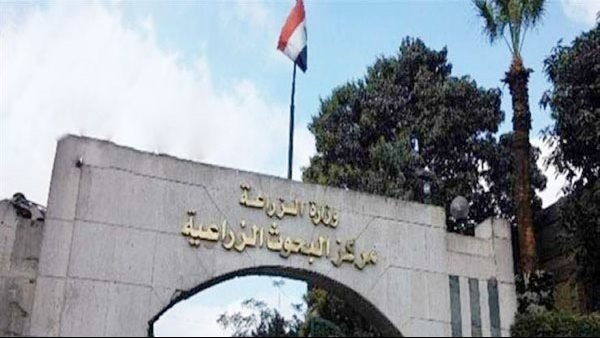 "تكنولوجيا الأغذية" ينظم ندوة حول "الفلافونويد ومضادات الأكسدة للجريب فروت"
