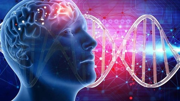 العلماء الروس يكتشفون "المفتاح الجيني" للشعور بالرفاهية