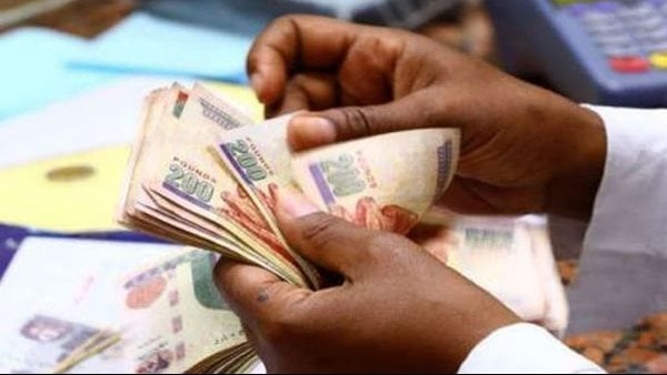 ترقب خفض جديد لأسعار الفائدة.. خبيرة مصرفية تكشف التفاصيل