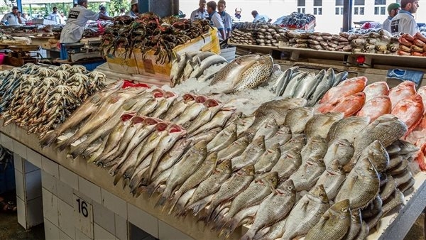 أسعار السمك اليوم السبت 3 مايو 2025 في الأسواق المحلية