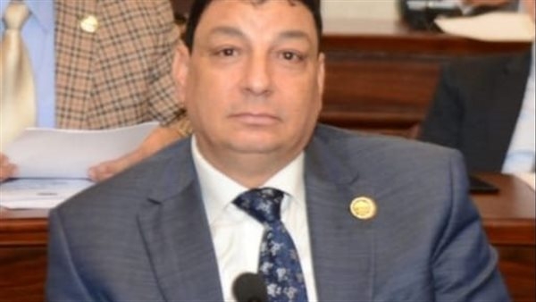 سامي نصر الله: التصنيع المشترك مع السويد يعزز مكانة مصر كمركز إقليمي للصناعات النظيفة