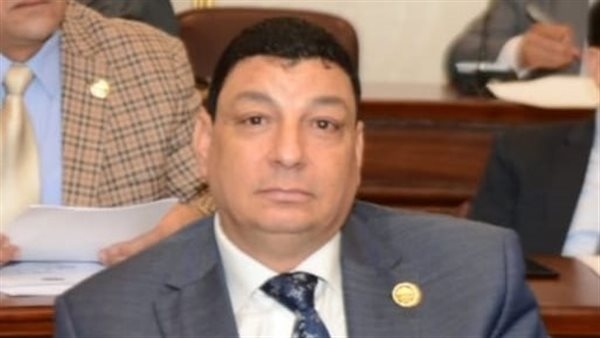 صناعة النواب: افتتاح مصنع صيني بالمنطقة الاقتصادية خطوة نحو تعميق المنتج المحلي