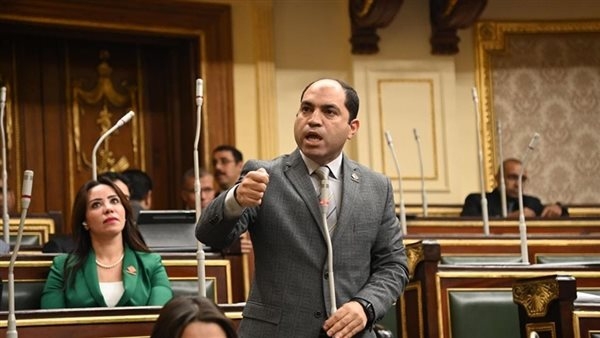 عمرو درويش يكشف موعد مناقشة تعديلات قوانين انتخابات النواب والشيوخ