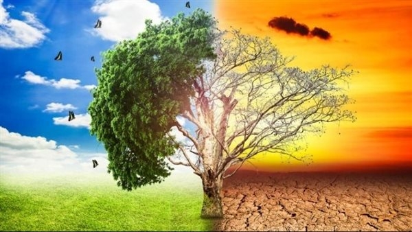 خبير : الحلول الهندسية ليست بديلاً مستدامًا لمواجهة التغير المناخي