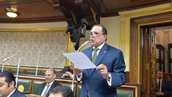 "أبو هميلة" يطالب الحكومة بوضع حلول للحد من خسائر بعض الهيئات الاقتصادية